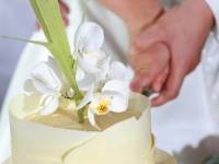 Фотография 10