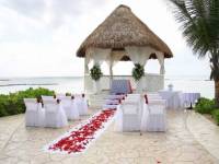 Фотография 28