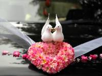 Фотография 46